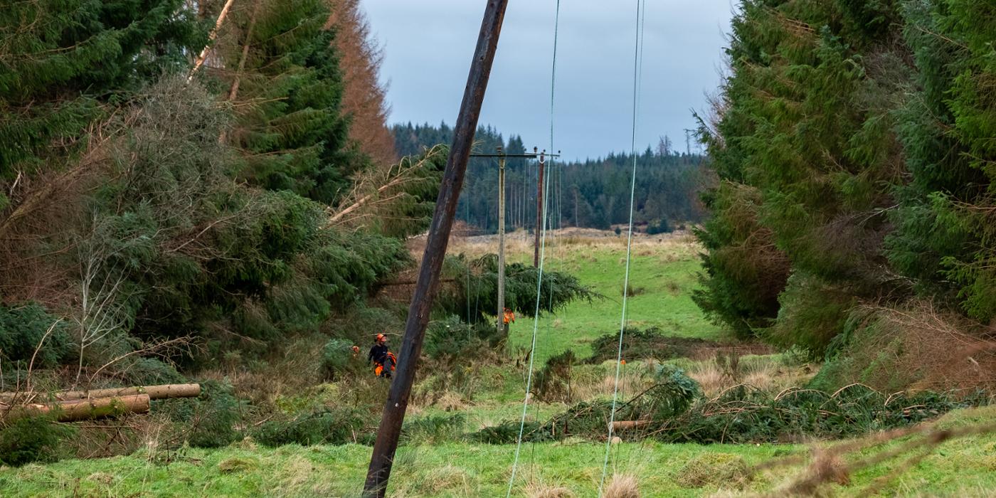 Damage to the SSEN network following Storm Arwen in 2021