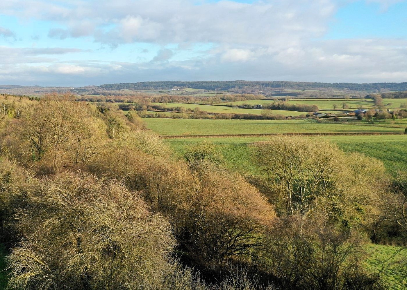 The CEO of the Freshwater Habitats Trust Jeremy Biggs working in an area of freshwater 