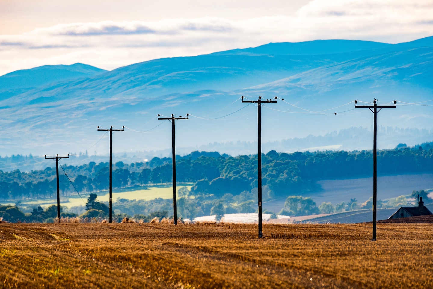 Image of distribution electricity network in the north of Scotland