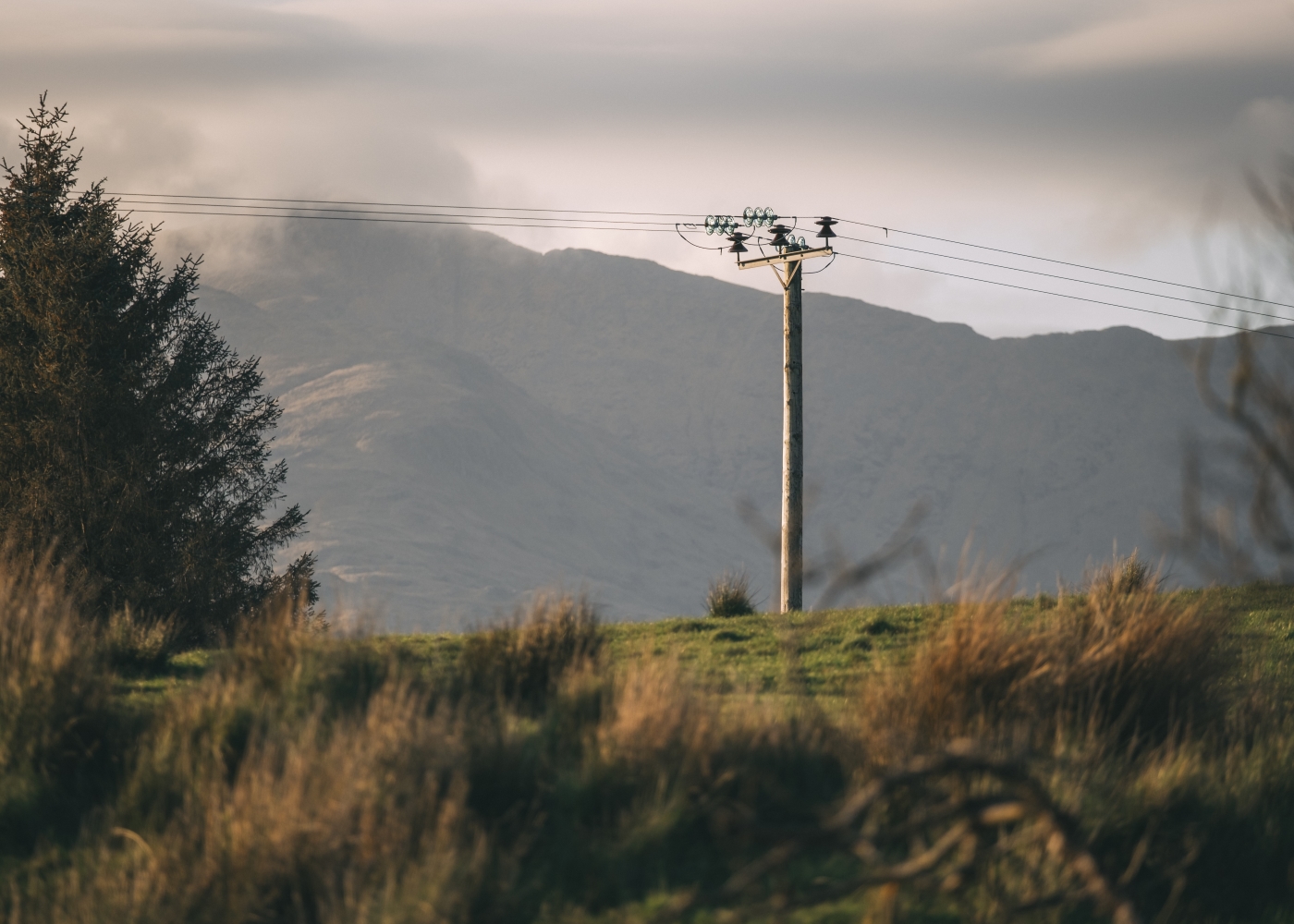 SSEN Distribution wooden poles and overhead lines