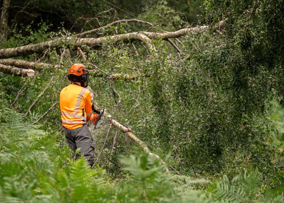 A member of the tree-cutting team clearing the way for engineers to fix storm damage