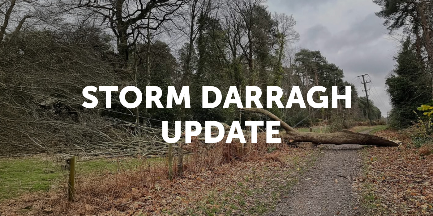 Tree on line following Storm Darragh