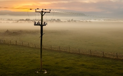 A pole carrying the overhead network across a field on a misty morning