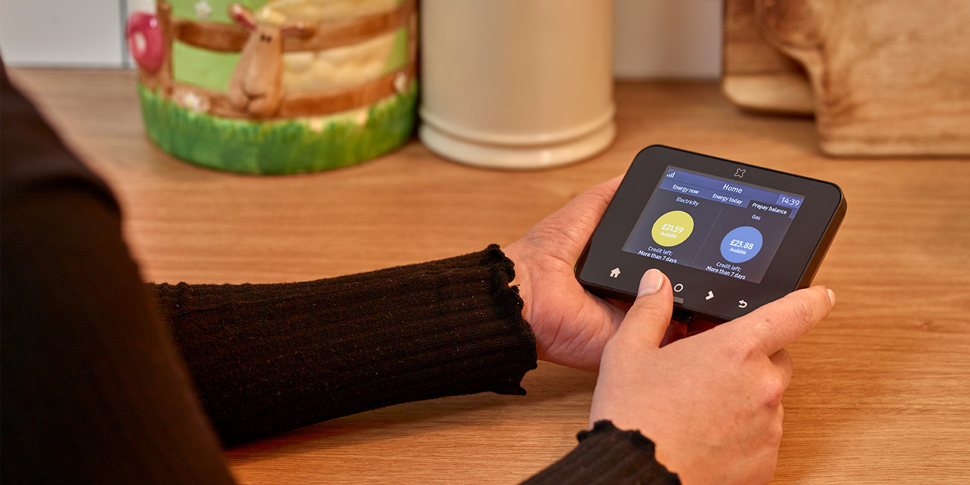 Smart meter in the home