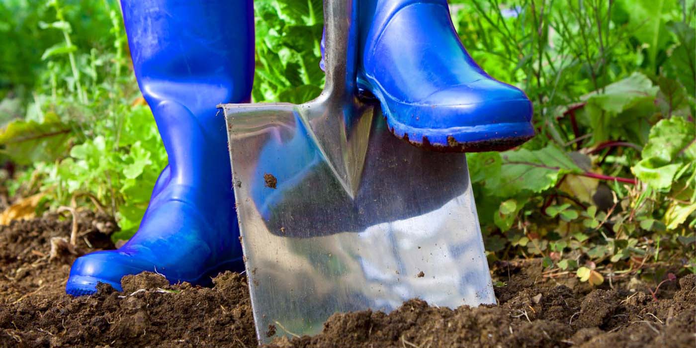 Think before you dig