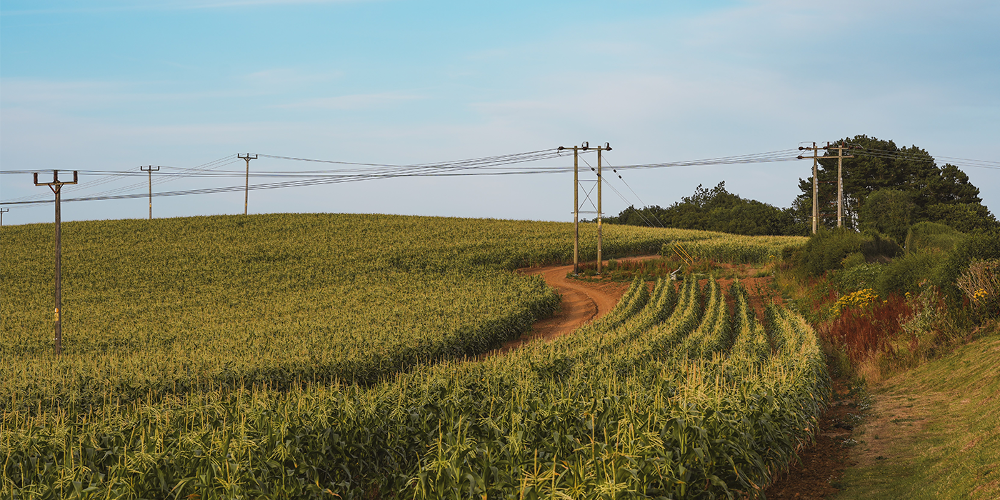 Image of SSEN electricity overhead electricity lines surrounded by fields